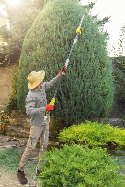 Best Lawn Watering Services  in Siesta Shores, TX